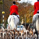 Fox hunters 'should be protected under equality laws' like Roma and LGBTQ+ people, campaign group claims as it seeks legal protection for those who have pro-hunting views