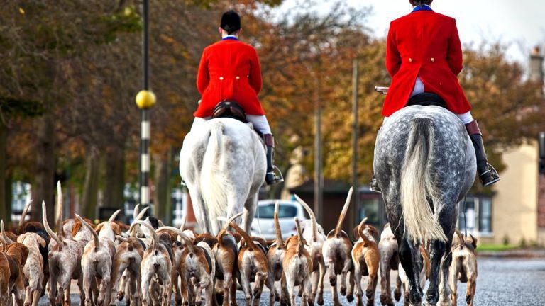 Fox hunters 'should be protected under equality laws' like Roma and LGBTQ+ people, campaign group claims as it seeks legal protection for those who have pro-hunting views