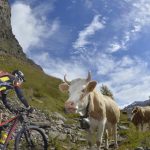 Le VTT remplace-t-il le ski en Suisse ?