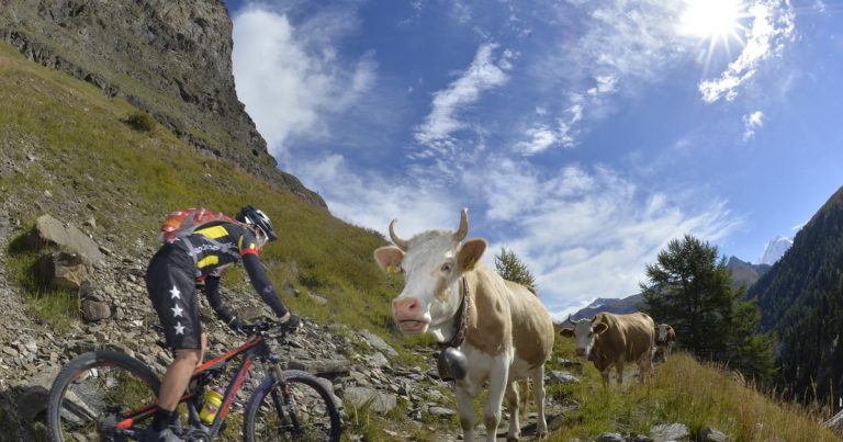 Le VTT remplace-t-il le ski en Suisse ?