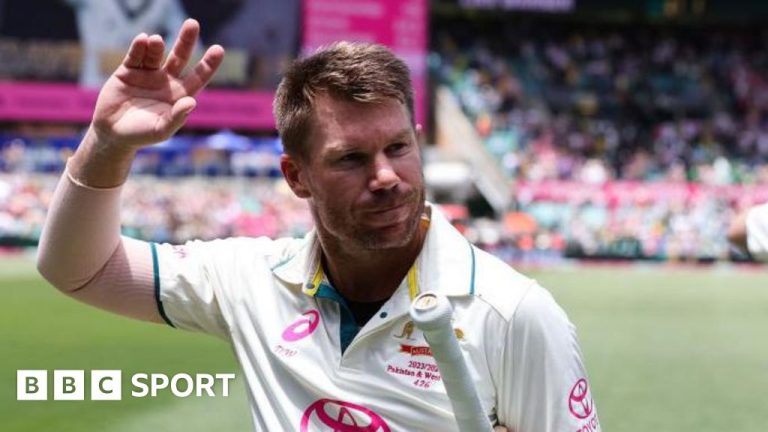 David Warner disponible pour la série contre l'Inde