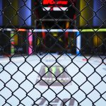 UFC : Un règlement de 375 millions de dollars approuvé