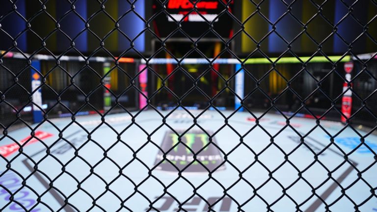 UFC : Un règlement de 375 millions de dollars approuvé