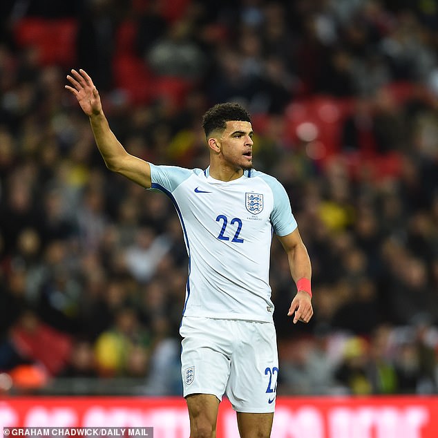 Solanke a effectué sa seule apparition en senior pour les Three Lions lors d'un match amical contre le Brésil en 2017.