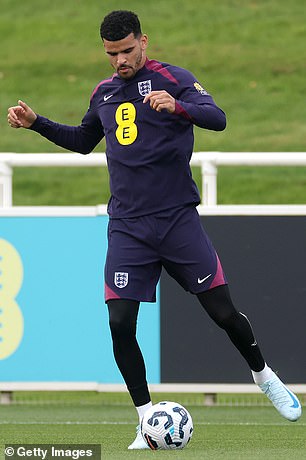 Dominic Solanke fait son retour en sélection anglaise après sept ans d'absence.