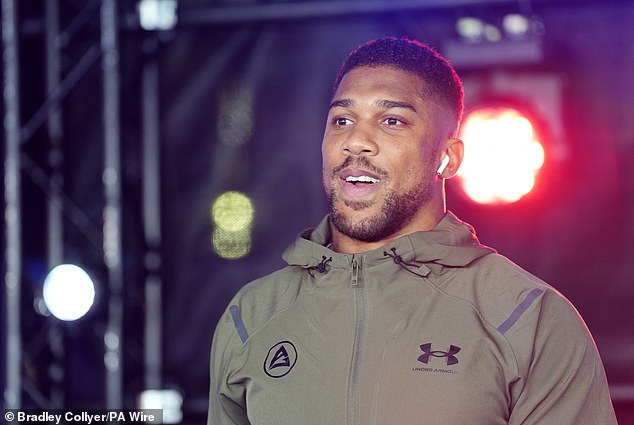 Dépenses immobilières d'Anthony Joshua