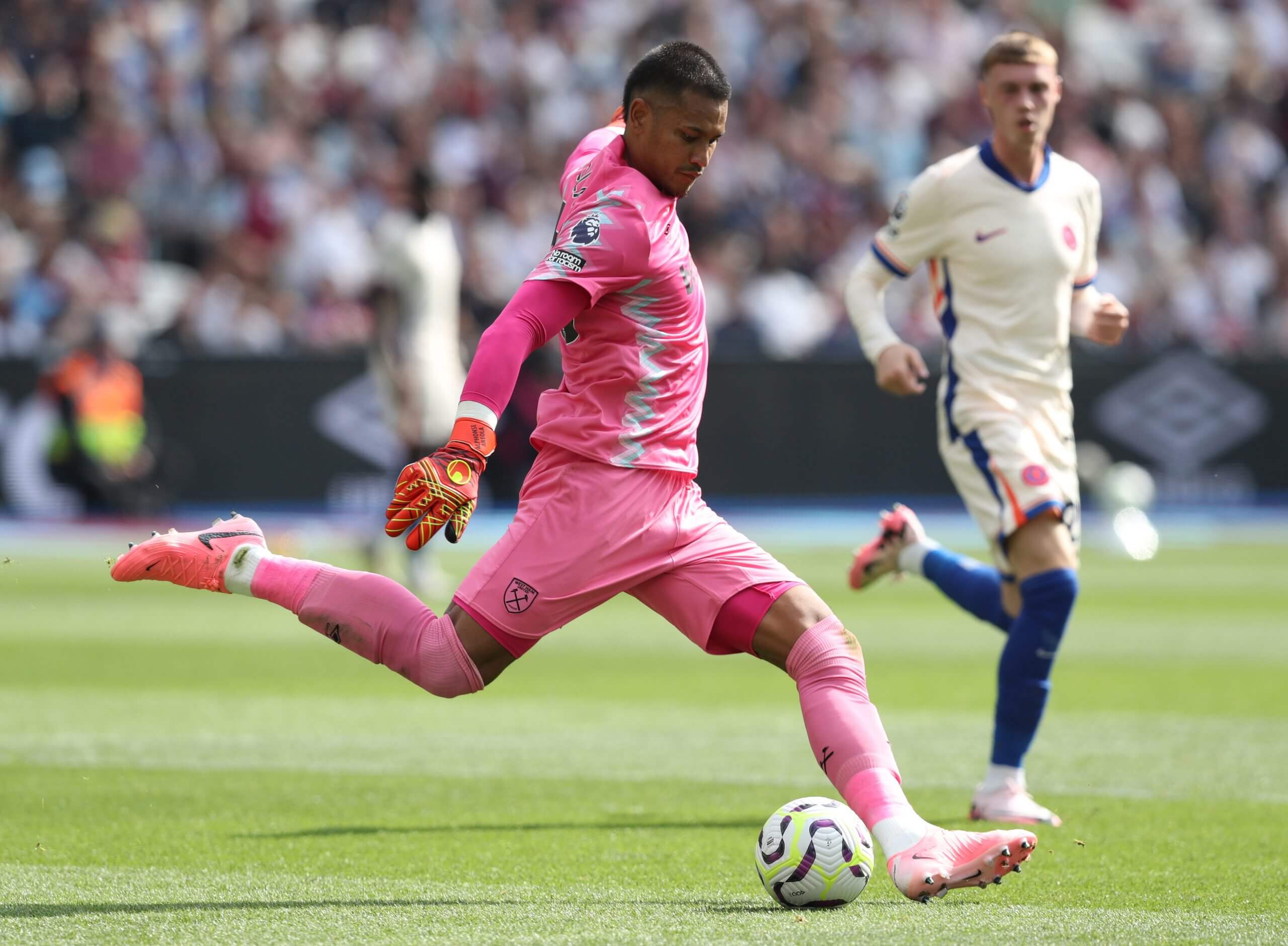 Alphonse Areola