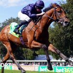 City Of Troy : un prétendant audacieux au Breeders' Cup Classic