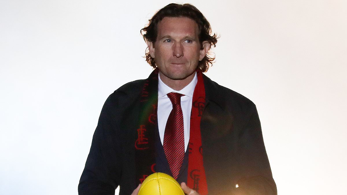 James Hird revient à la télévision après une carrière tumultueuse