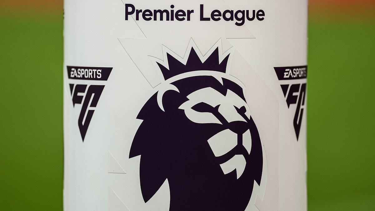 Un footballeur de la Premier League sous enquête pour viols