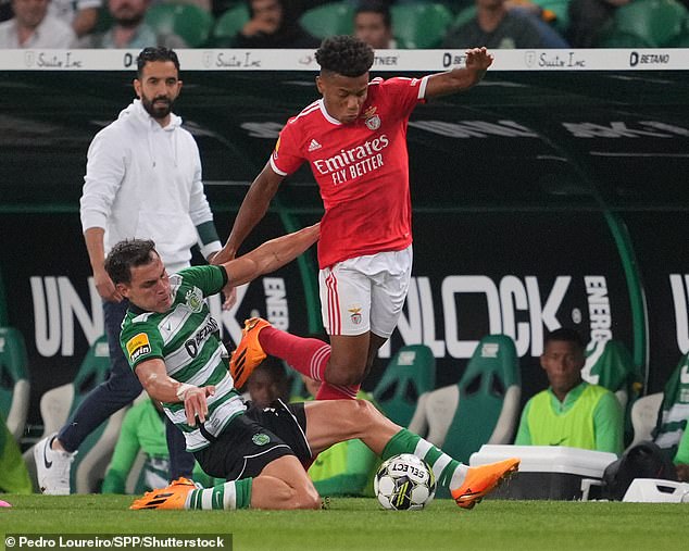 Ugarte played under Amorim at Sporting Lisbon