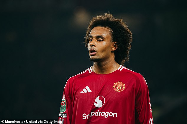 Manchester United est prêt à offrir Joshua Zirkzee pour Victor Osimhen