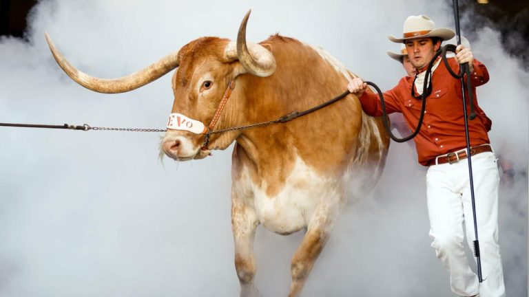 Bevo ne sera pas au match Texas contre Georgia : un espace limité