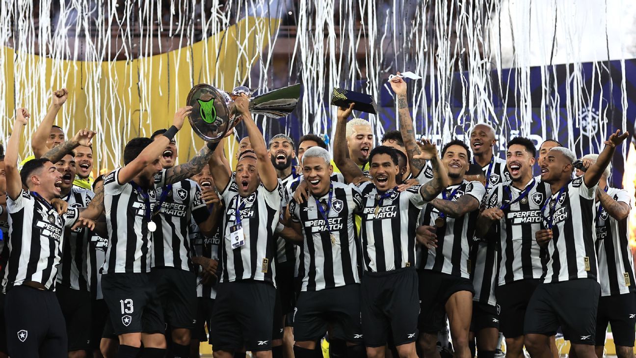 Botafogo remporte son premier titre de la ligue brésilienne depuis 1995