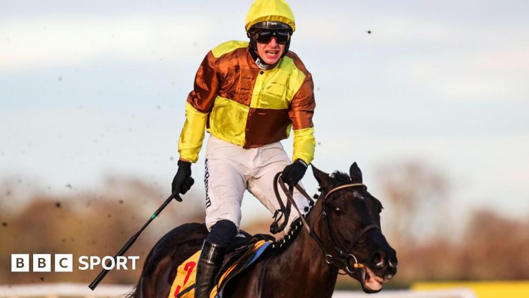 Galopin Des Champs triomphe au Savills Chase à Leopardstown