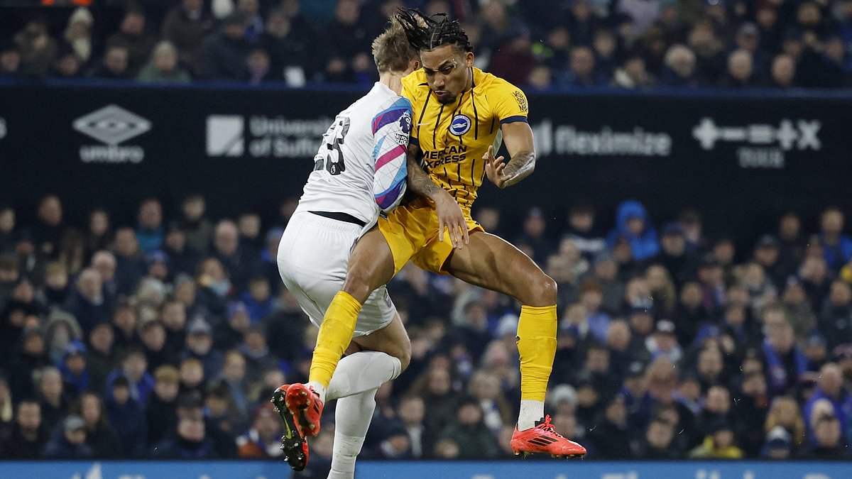 Foul de Joao Pedro - les fans divisés après le carton jaune