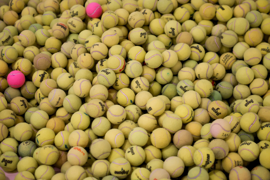 Exemple de balles de tennis usagées au dépotoir.