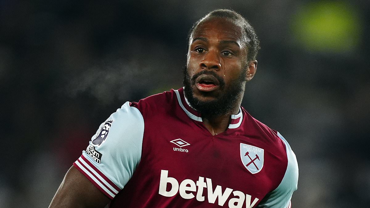 Michail Antonio entame sa rééducation après un grave accident