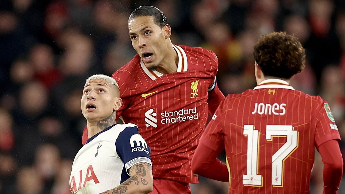 Virgil van Dijk s-amuse avec Richarlison lors du match Liverpool-Tottenham