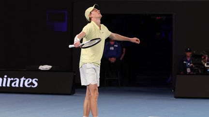 Jannik Sinner lors de la finale de l'Open d'Australie, le 26 janvier 2025, à Melbourne. (DAVID GRAY / AFP)