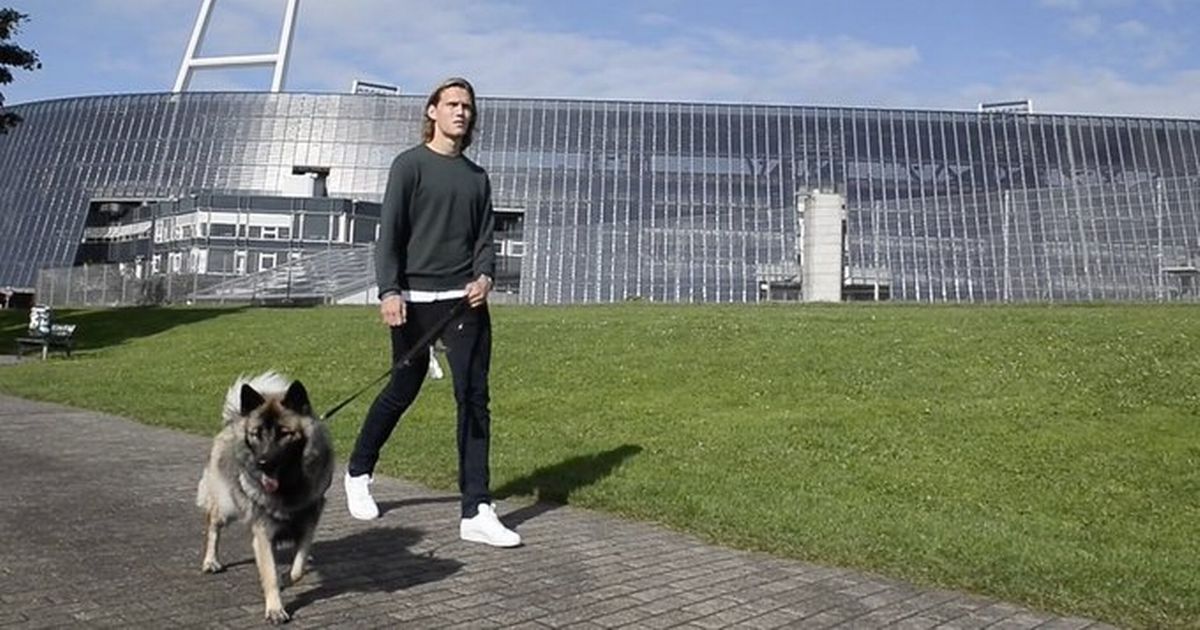 Jannik Vestergaard - Un chien à l-entraînement de Leicester City