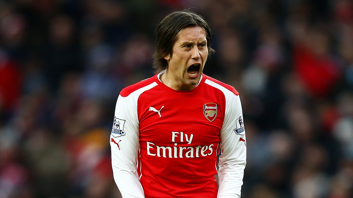 Rosicky pourrait revenir à Arsenal comme directeur sportif