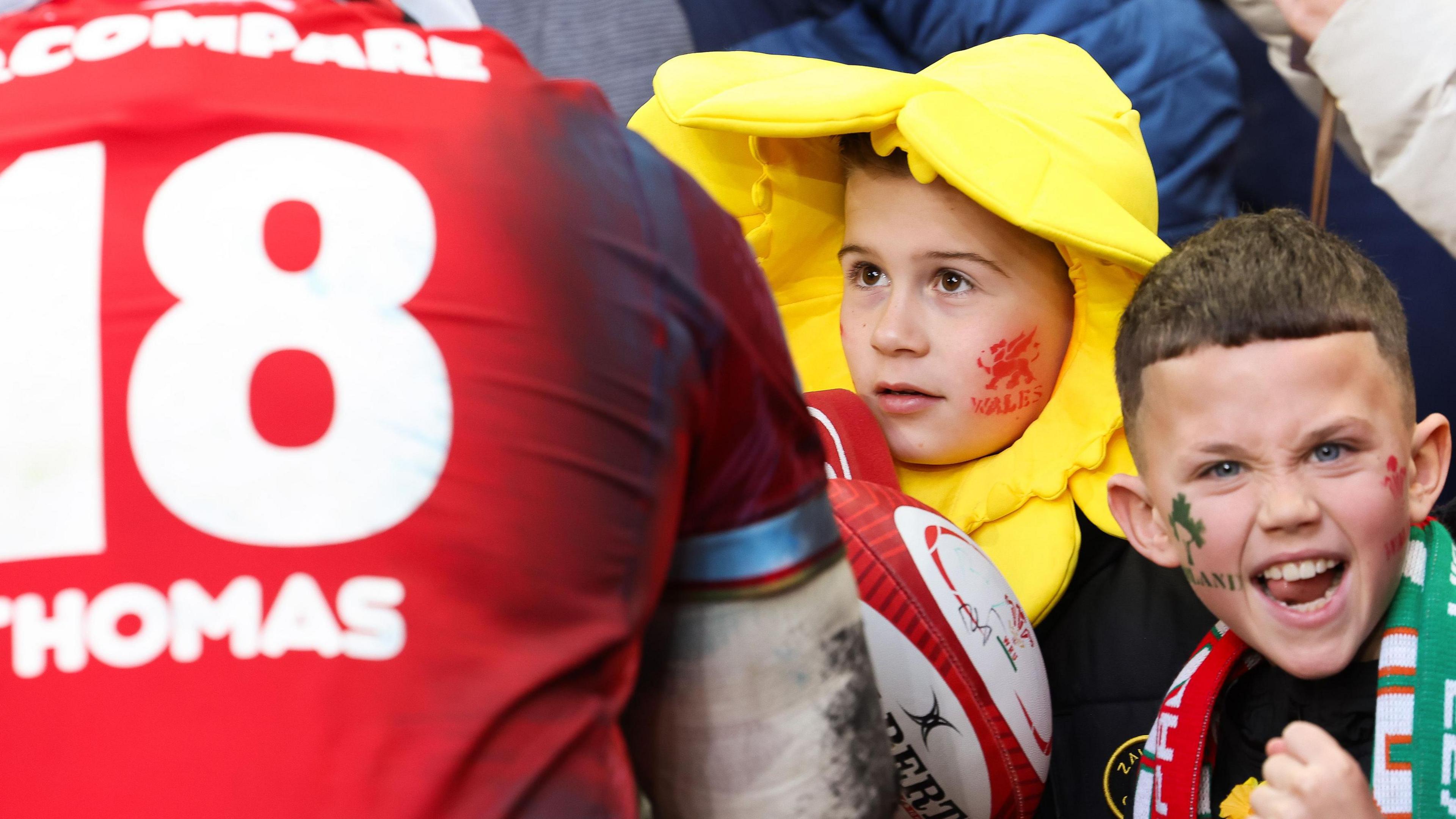 Supporters du pays de Galles au Principality Stadium